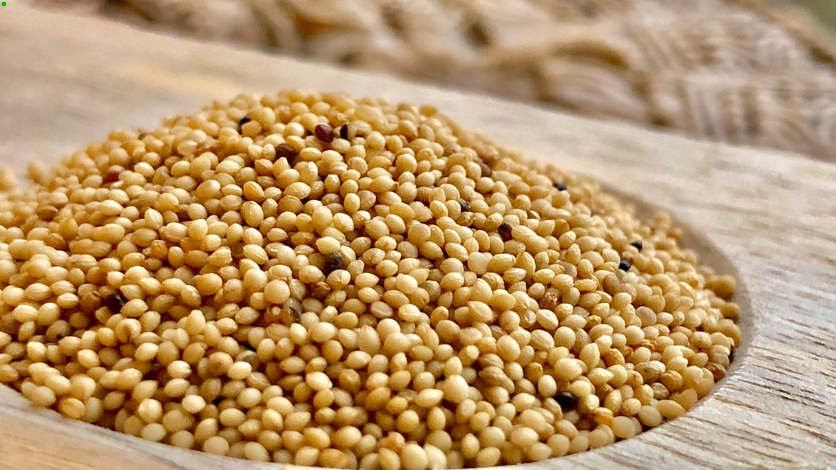 Whole Amaranth Grain 7 oz (200g)